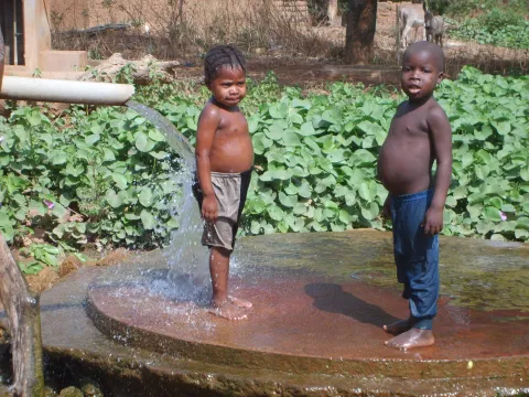 Puits artésien de Fon