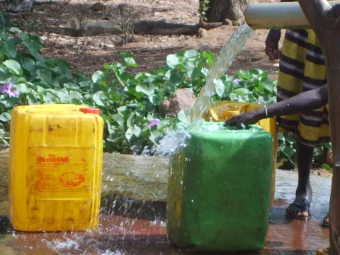 Puits artésien de Fon 